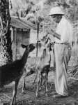 Albert Schweitzer with&nbsp;Animals