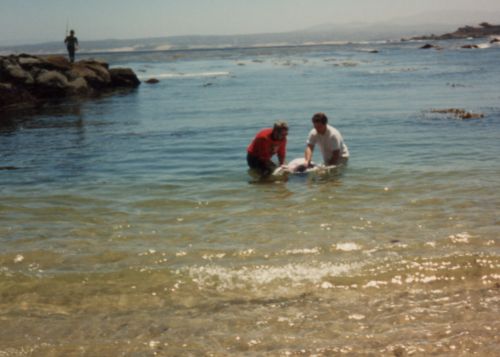 Susan Baptism 2
